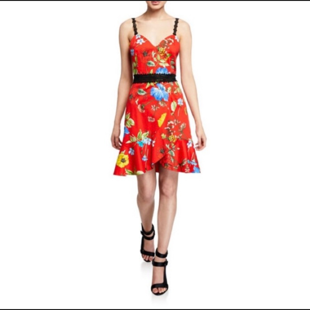 Alice + Olivia Kirby Floral Print Dress